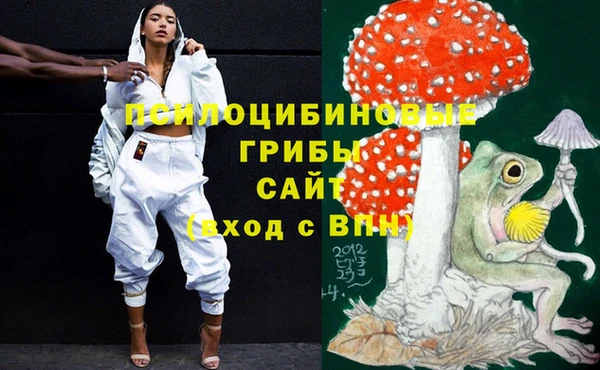 соль ск Верхний Тагил