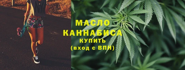 соль ск Верхний Тагил