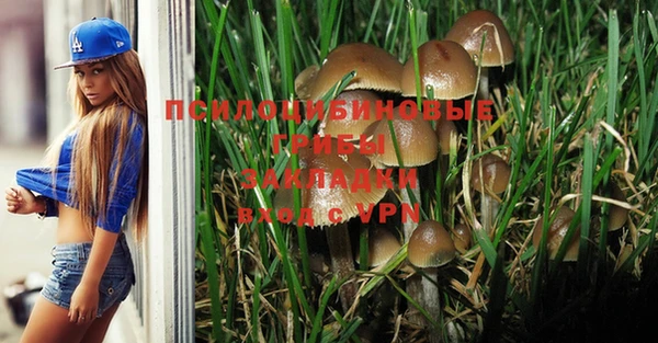 хмурый Верея