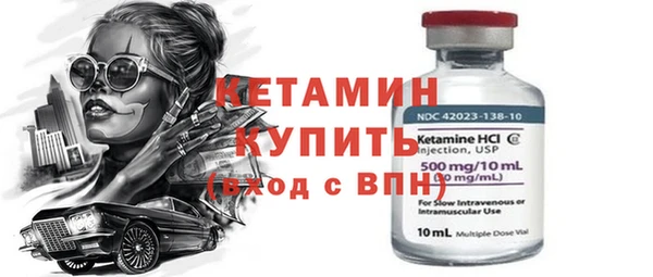 хмурый Верея
