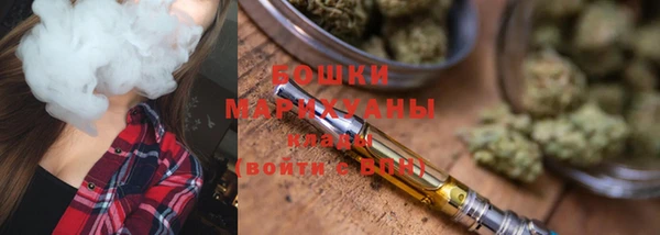 хмурый Верея