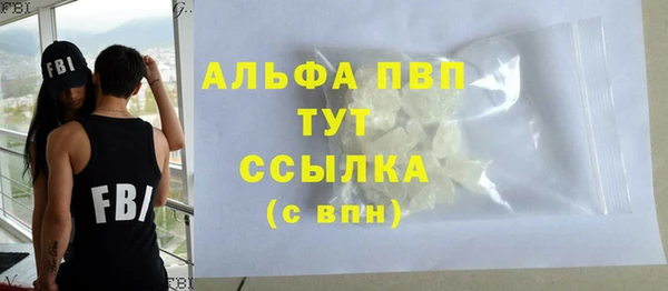 хмурый Верея