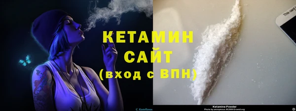 хмурый Верея