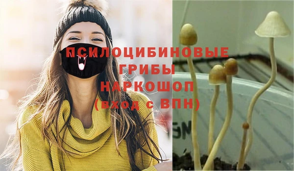 стаф Верхнеуральск
