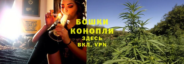 хмурый Верея