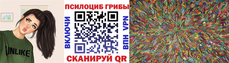 магазин продажи   Миасс  Галлюциногенные грибы ЛСД 